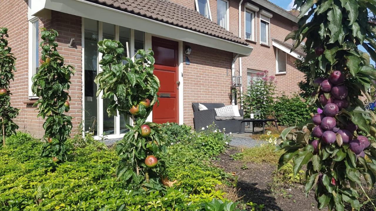 Logeren Bij Grea Bed & Breakfast Zwartsluis Eksteriør bilde